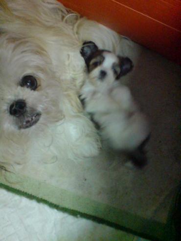 Solo time with her favourite girl.