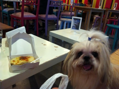 At Doggiestyle cafe for the first time and she really enjoyed me feeding her!