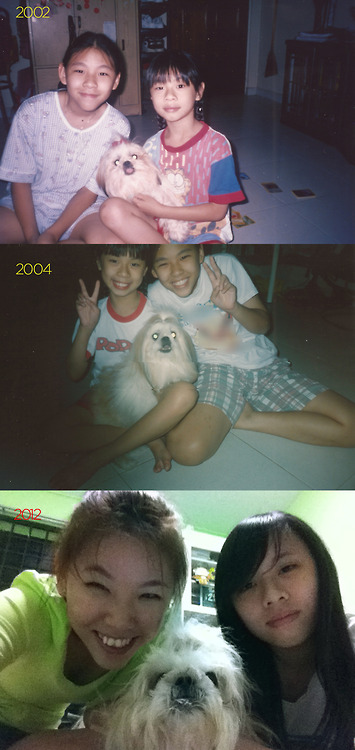 Angel when she was 1, 2 and 12 (a few months before she died)