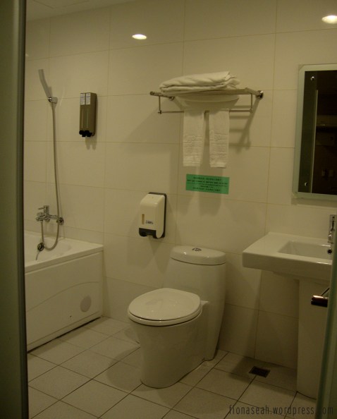 Room toilet