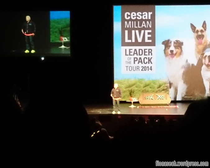 Sorry, camera not good enough to capture his face!