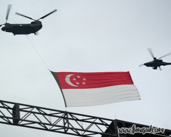 State flag flypast