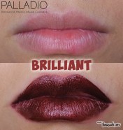 Palladio Velvet Matte Metallic Cream Lip Color in Brilliant