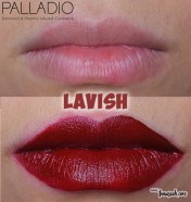 Palladio Velvet Matte Metallic Cream Lip Color in Lavish