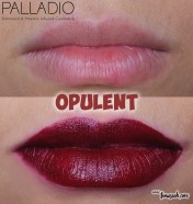 Palladio Velvet Matte Metallic Cream Lip Color in Opulent