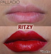 Palladio Velvet Matte Metallic Cream Lip Color in Ritzy