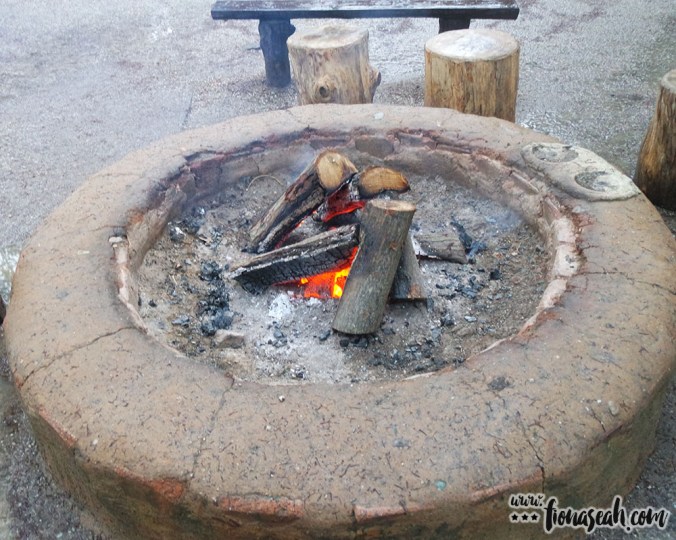 Fireplaces like this can be found in various parts of Nami Island. While others used them to warm their hands, I tried to dry my shoes above them (which obviously didn't work lol)