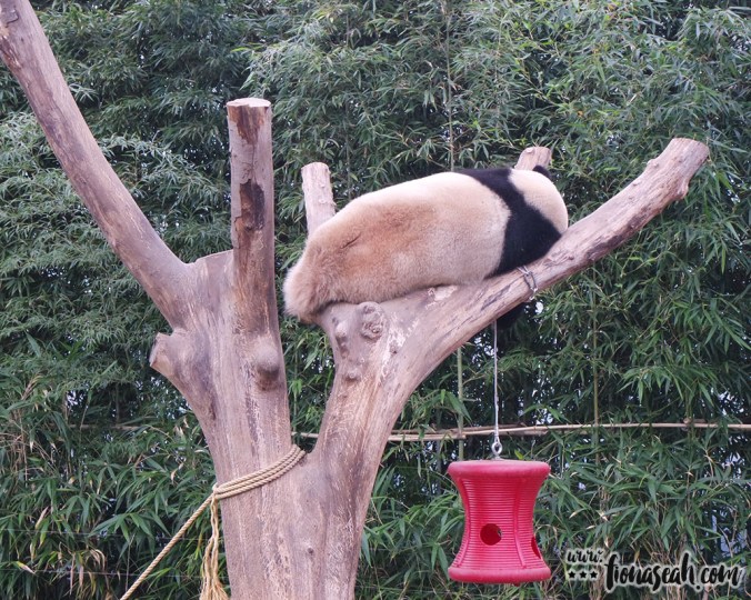 ZzzZz leave me alone