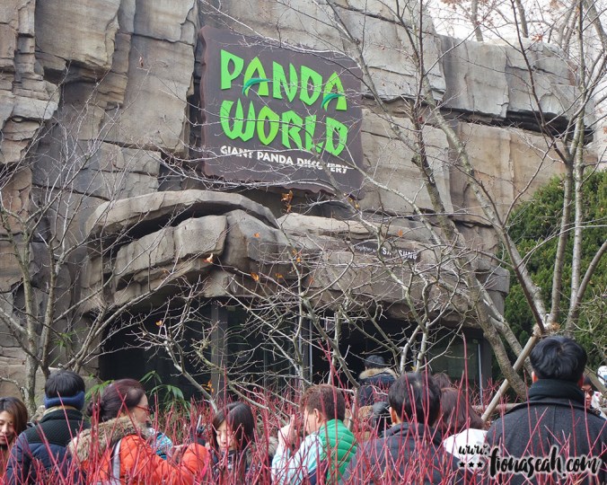 Home to Ai Bao and Le Bao