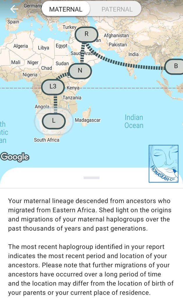 The "maternal" tab showed a rather detailed write-up about where my ancestors could have potentially travelled